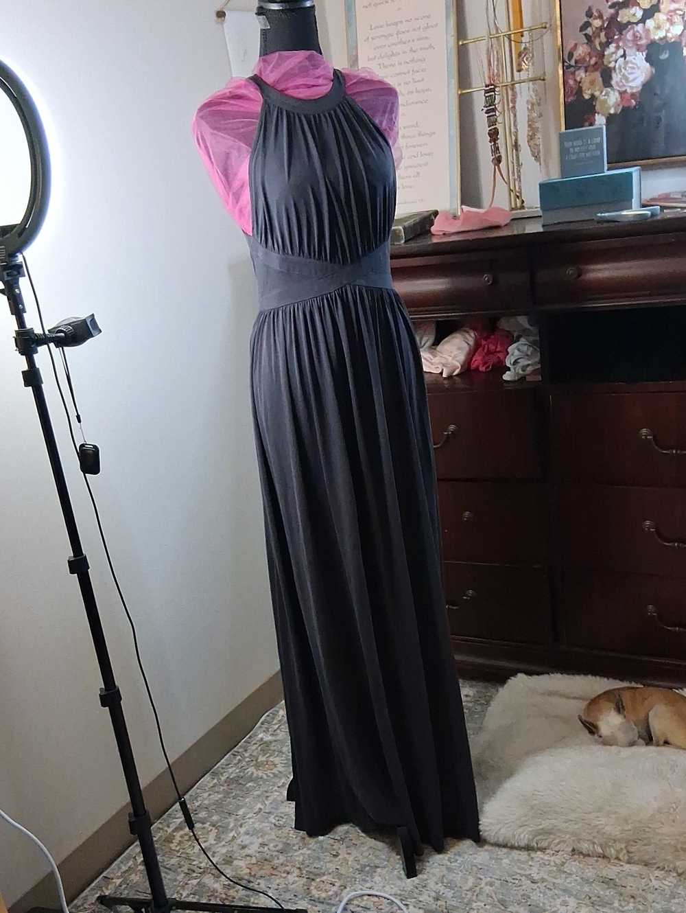 silence + noise Black Halter Maxi Dress with Gathered Bodice - Picture 11 of 11